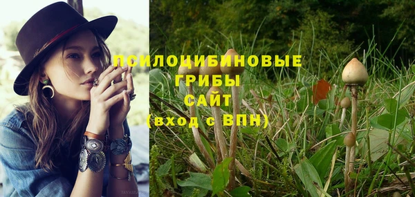дмт Абинск