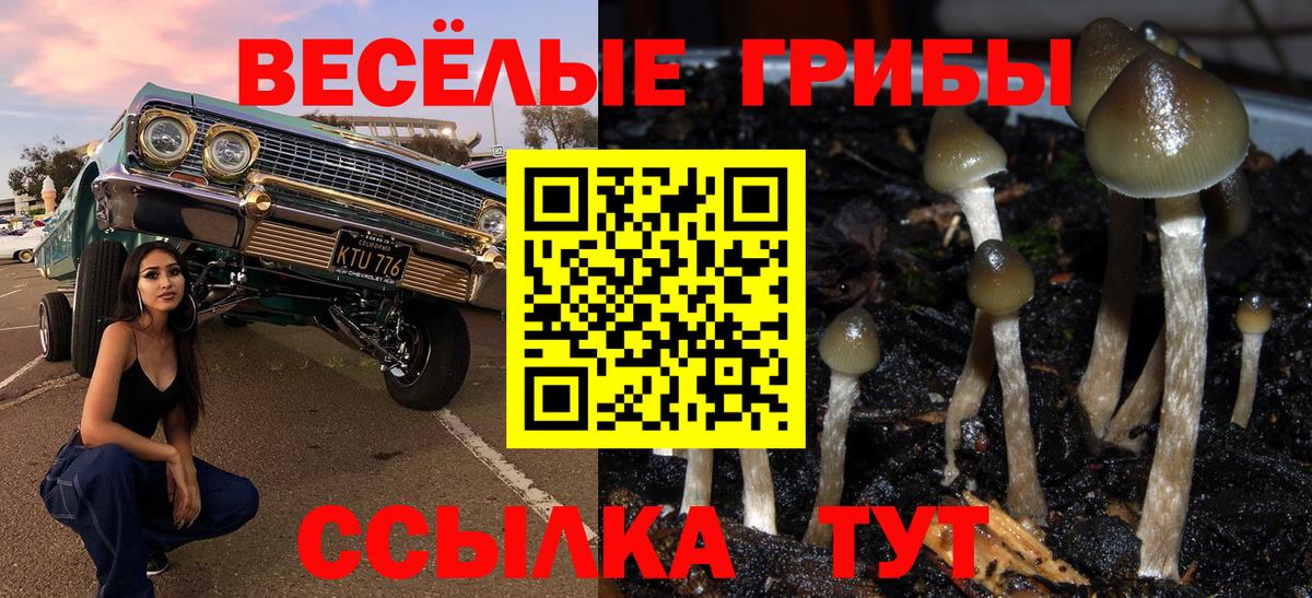 Галлюциногенные грибы Psilocybe Ангарск