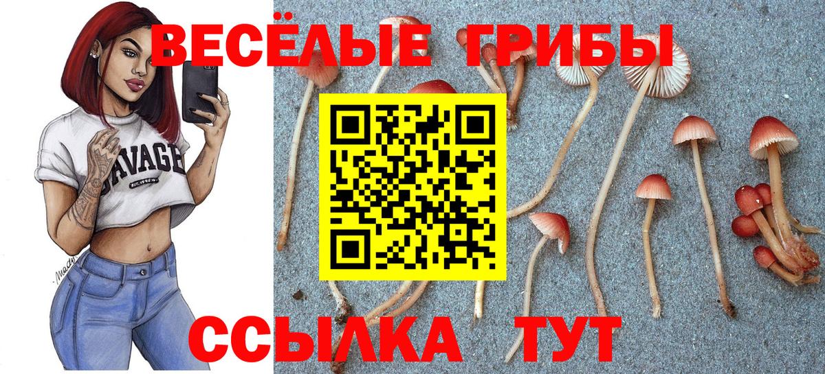 Псилоцибиновые грибы ЛСД  Вход с VPN  Ангарск  даркнет сайт  Галлюциногенные грибы прущие грибы 